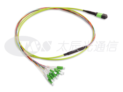 MTP/MPO Harness Cable, Fiber Fanout Harness Cable Wholesale | T&S ...