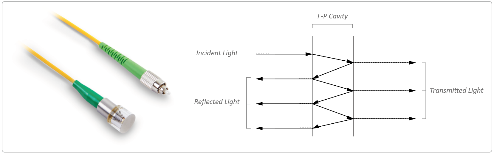 New_Product_Release_Next-Generation_Fiber_Optic_Ultrasonic_Sensor_01.png