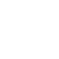 New Energy Vehicles (NEV)