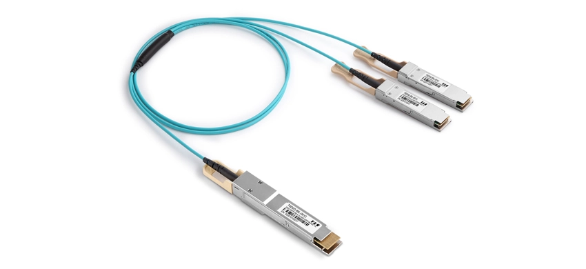 200G QSFP-DD to 2x100GBASE QSFP28 Active Optical Cable