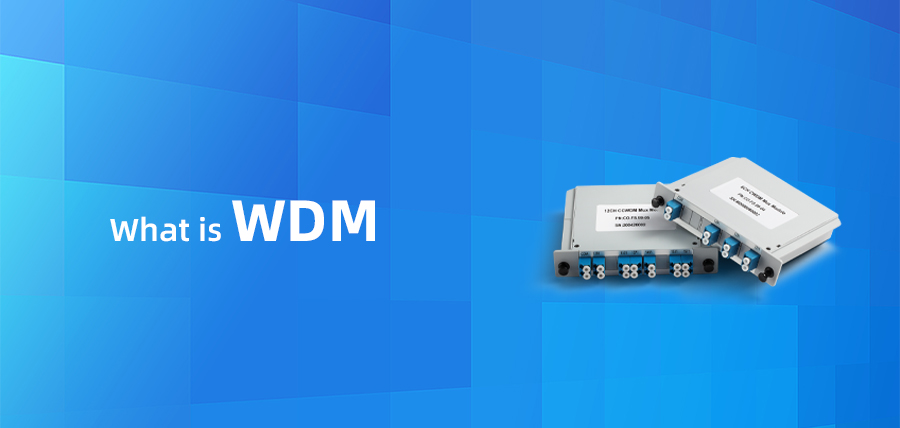 What is WDM?