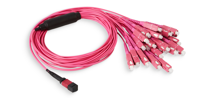 24F, MTP/PC/Female-SC/PC, OM4 Multimode, Riser (OFNR), 0.35dB max (ELITE),  Harness Cable