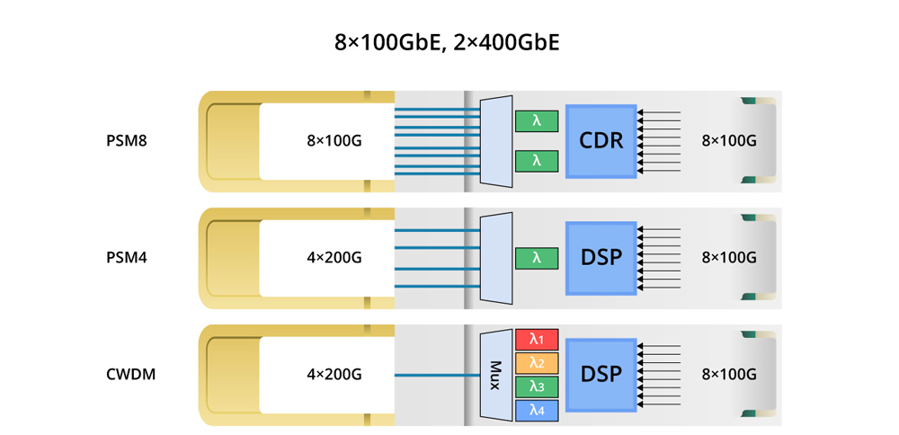 types-of-800g-optical-transceiver-modules-1.jpg