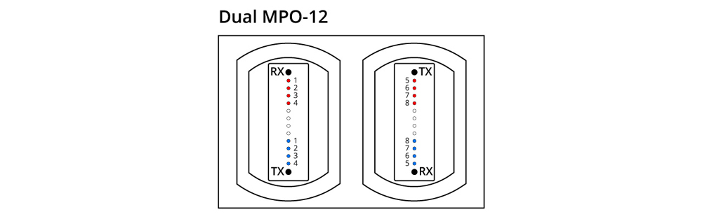 types-of-800g-optical-transceiver-modules-2.jpg