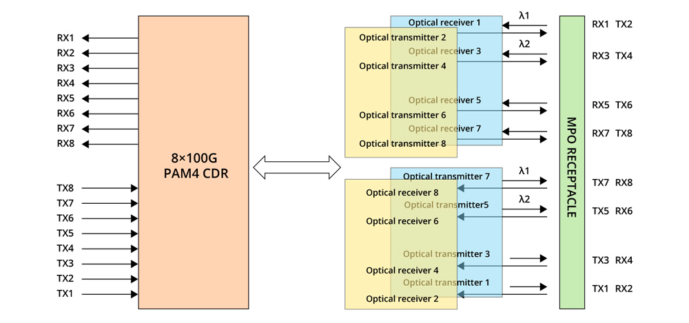 types-of-800g-optical-transceiver-modules-6.jpg