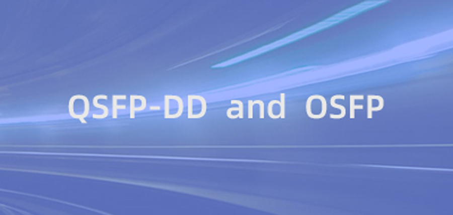 800G Transceiver: QSFP-DD and OSFP Packages