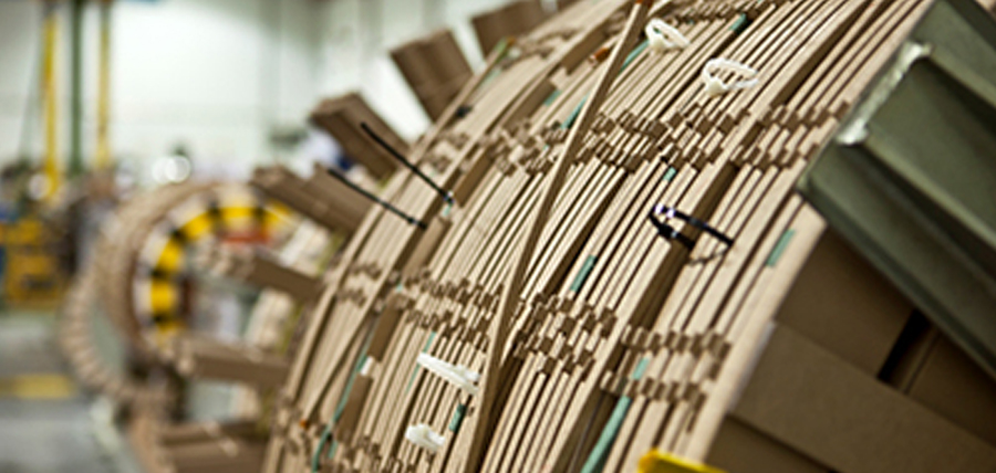 Fundamental Applications of FBG Sensors: A Comprehensive Exploration