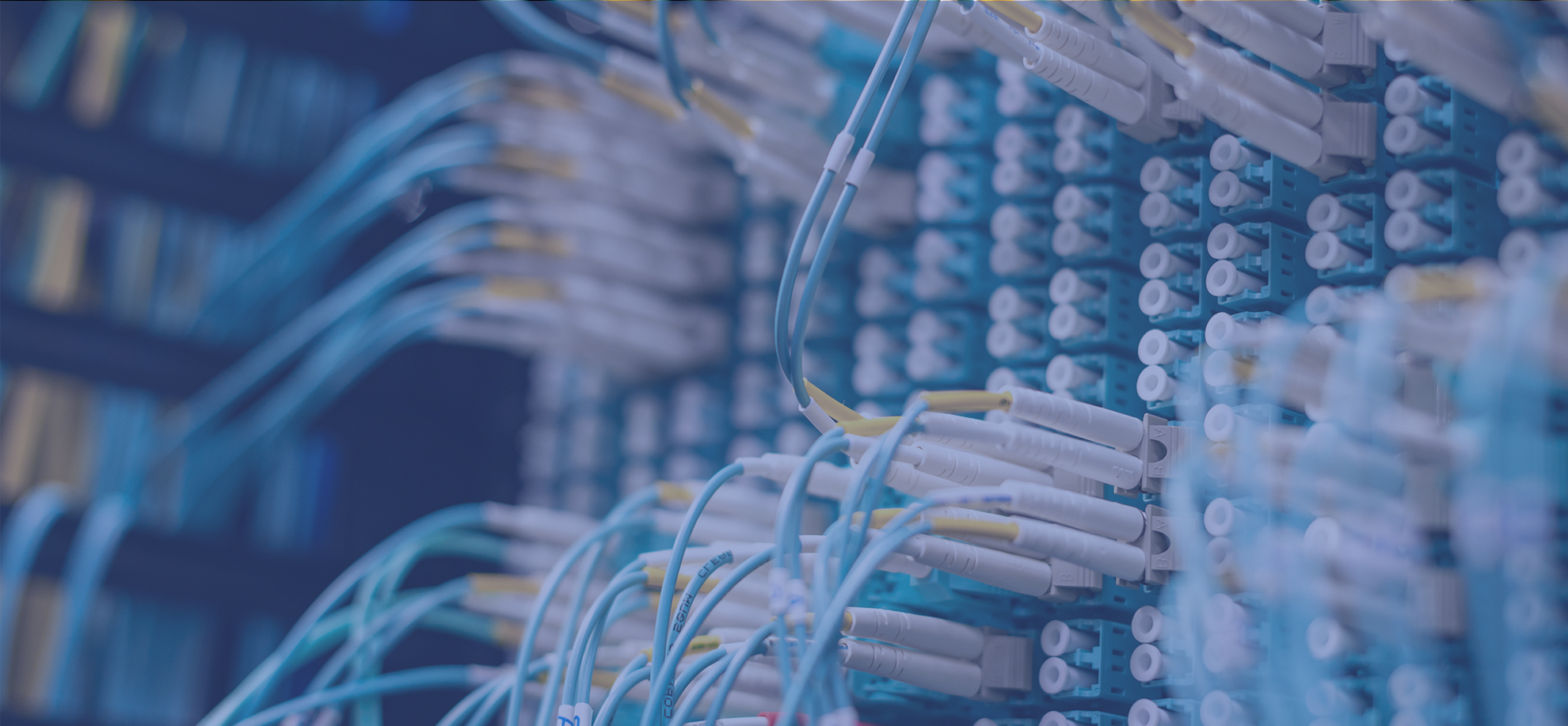 A Global Leader in Fiber Optic Interconnects