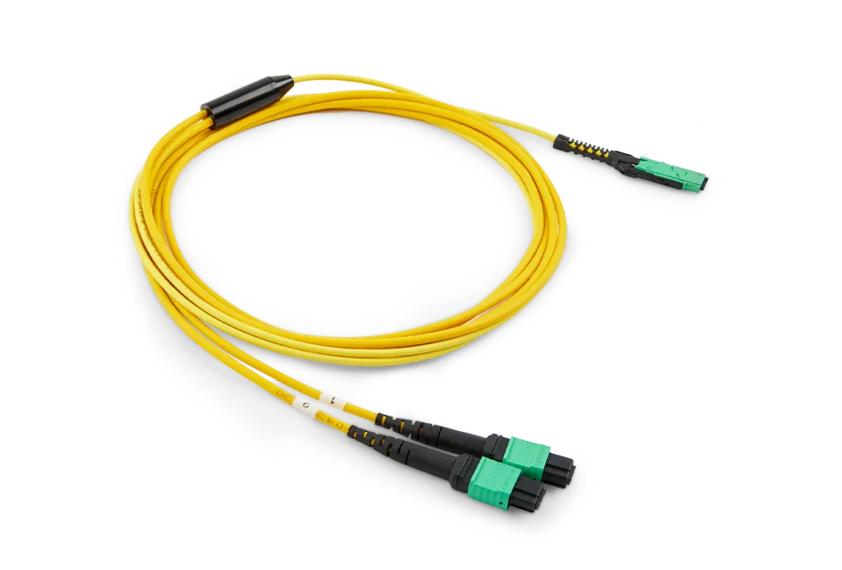 MMC16 to 2xMTP12 Cable<br>
MMC24 to 2xMTP12 Cable